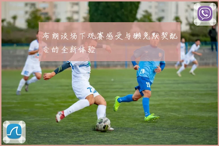 布朗谈场下观赛感受与獭兔默契配合的全新体验